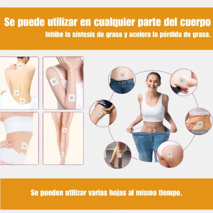 Reto Abdomen Plano 30 Días/Parche Slim